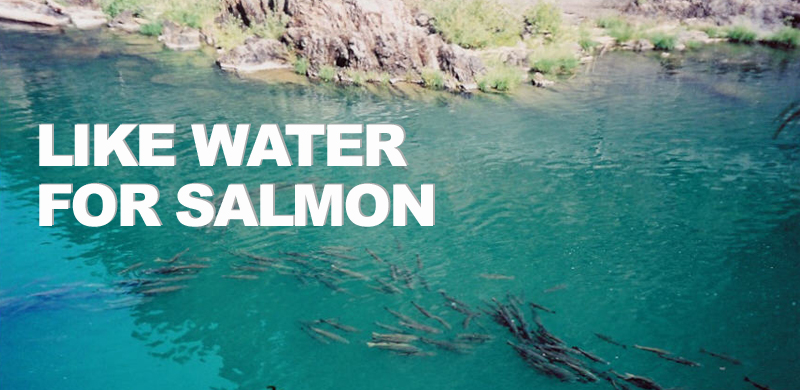 California Drought Saving Salmon