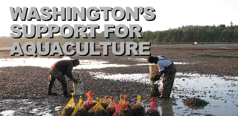 Washington State takes lead in promoting sustainable shellfish aquaculture