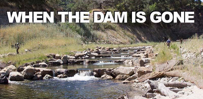 Benefits for Wildlife Flow from San Clemente Dam Removal 