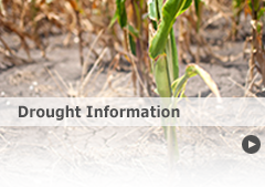 Link to Drought Information