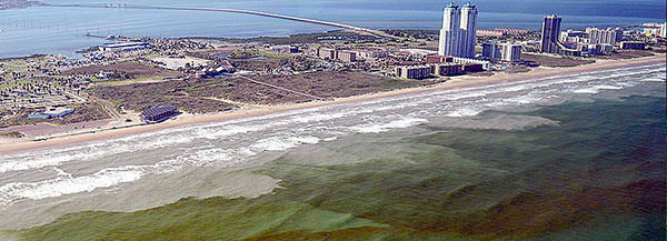 A so-called red tide in Florida