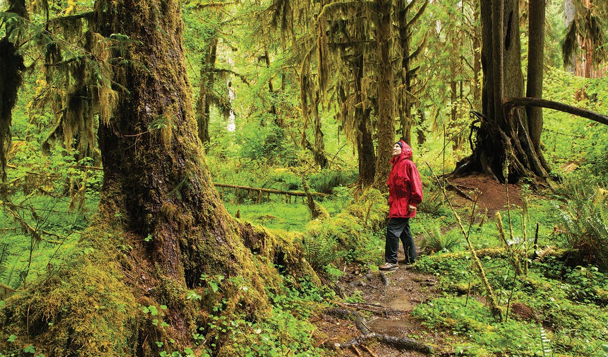 person in forest