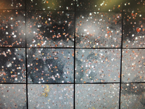 The mosaics of HabCam photos sometimes reminded me of stars in the night time sky