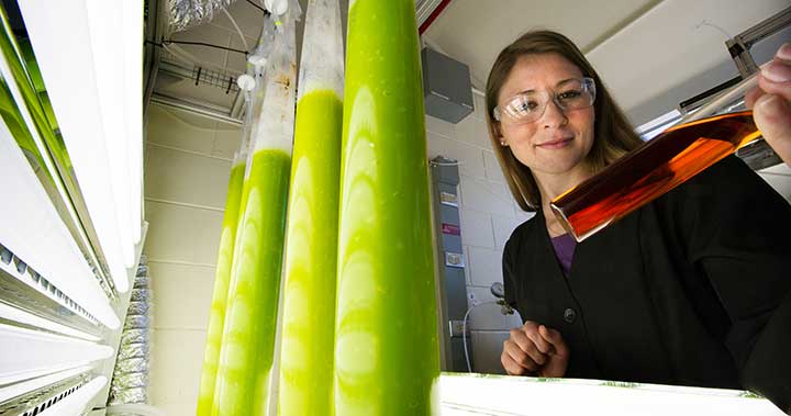 A photo of an NREL Researcher holding a vial of algae co-products in the Algal Research Lab. 