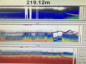 Sonar profile of one of our sites for an acoustic release receiver.