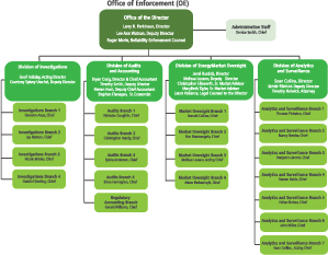 Org Chart for Office of Enforcement (OE)
