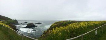 A panoramic view from Yaquina Point, gray whales can often be seen from the Point on their migration route, one of the longest in the animal kingdom.