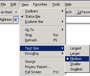 Accessibility Text Size image