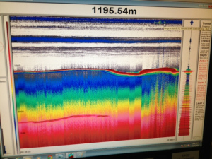 Notice the distinct blue and gray lines toward the top of the screen. These are the think layers of micronekton that migrated up at sunset. The number at the top of the screen expresses the depth to the sea floor. 