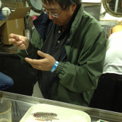 Our chief scientist, Dr. Don Kobayashi, examines a specimen after a trawl.