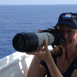 We use these cameras to take close up shots of the marine mammals.
