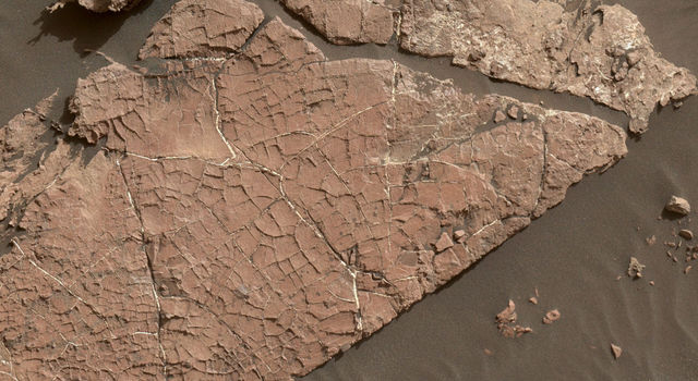 Possible Mud Cracks Preserved in Martian Rock