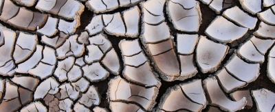 Mud cracks