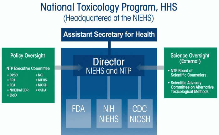 NTP organizational chart