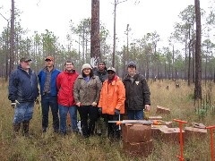 A group of men and women stand in a long-leaf forest preparing to plant seedling trees.