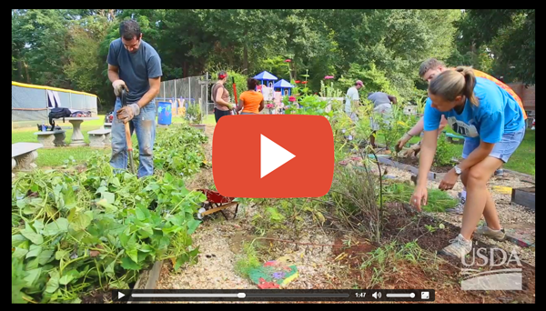 Engaging the Community in Farm to School Efforts   