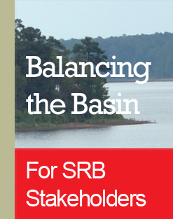 Balancing the Basin logo