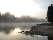 Yellowstone National Park 