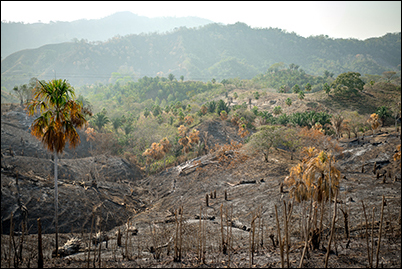 2016 San Juan Nepomuceno fire.