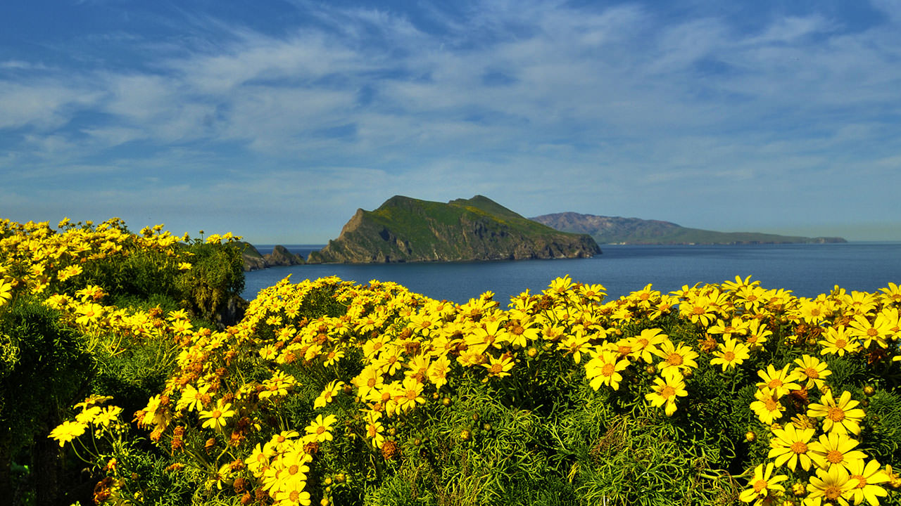 photo of anacapa island