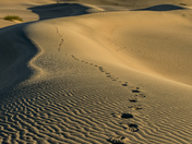 Death Valley National Park