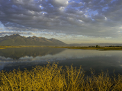 Ninepipe National Wildlife Refuge