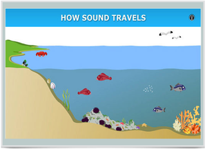 Click on this picture to see how sound travels from various ocean creatures through water. (Photo from sciencelearn.org)