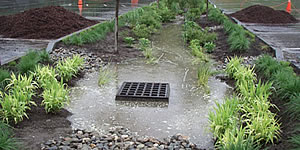 Raingarden/Bioretention example at state office parking area