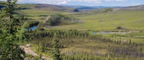 Fortymile wild and scenic river winding its way through marches and forest