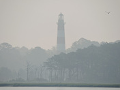 Chincoteague National Wildlife Refuge