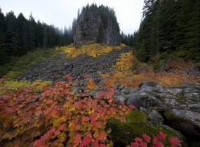 The leaves changing color in Table Rock Wilderness. Photo by Bob Wick.