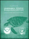 Atlantic Hawksbill Turtle Recovery Plan