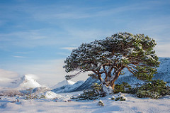 Hege Kamilla Hansen - 'Forra', Forfjord, Vesterålen, Norway