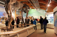 caff_event_beringia_centre