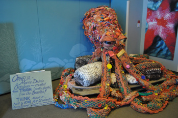 Artwork from the SeaLife Center created by high school students to illustrate how much trash ends up on our beaches.  