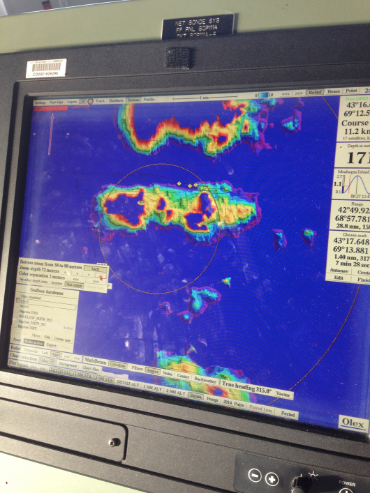 Check out this view of the seafloor.  On the upper half of the screen, there is a dark blue channel that goes between two brightly colored ridges.  That's where we dragged the net and caught all of the fish!