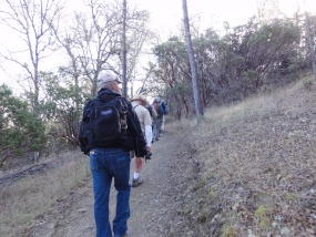 Hikers with backpacks walk on a trail.
