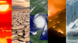 Climate collage. 