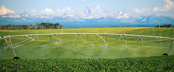 photo of field irrigation