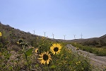 Wind energy project in Oregon thumbnail