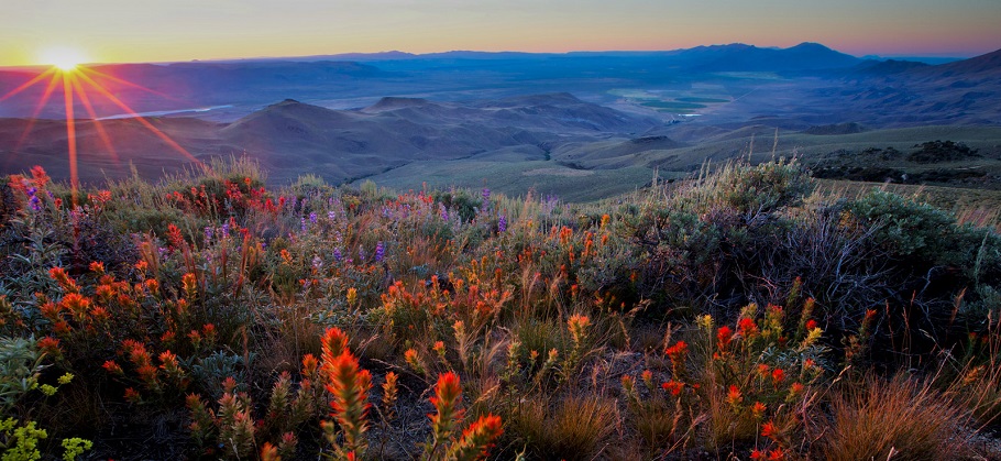 A landscape view of Pine Forest Range in Nevada.  Photo by Bob Wick, BLM