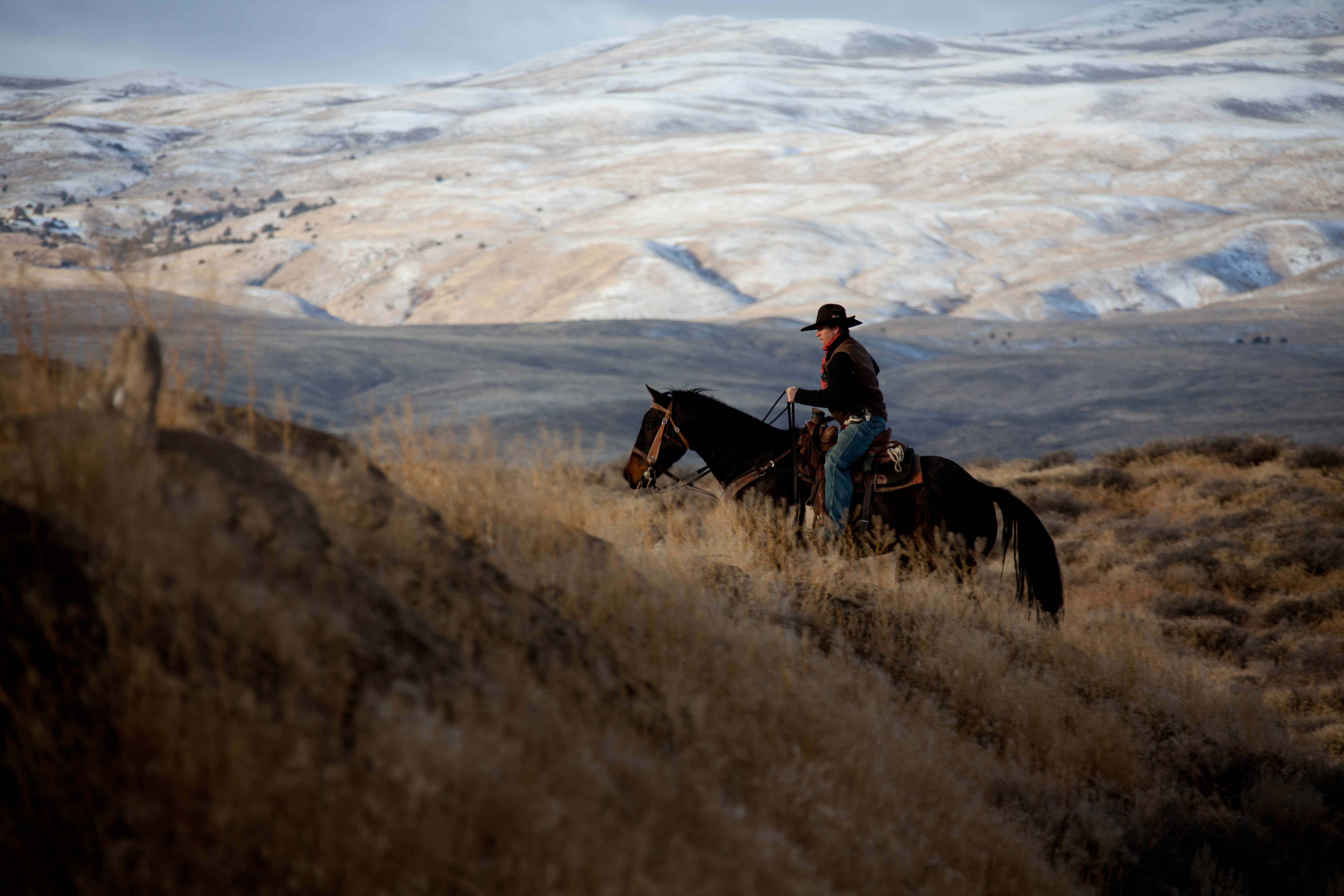 A lone horse rider. 