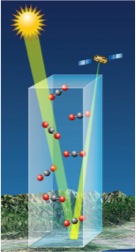 OCO-2 Measurement of CO2