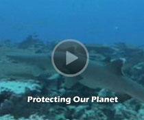 Protecting Our Planet