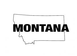 Montana Graphic