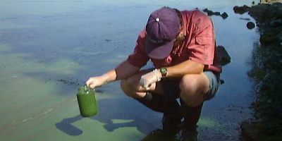 Person taking water sample from lake