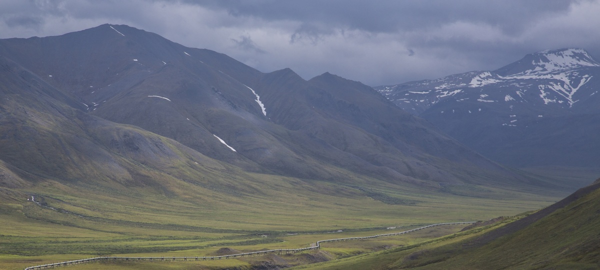 Oil and gas pipeline along the Dalton Highway in Alaska. Photo by Bob Wick, BLM.