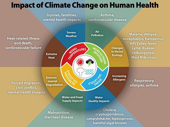 Illustration depicting the Impact of climate change on human health