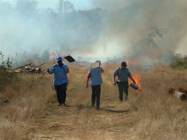 Walking the Fire Line