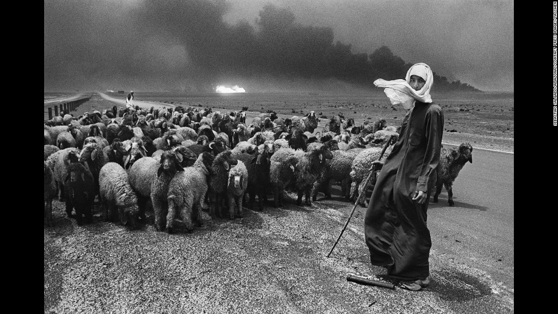 A man herds sheep, their fur blackened by soot.